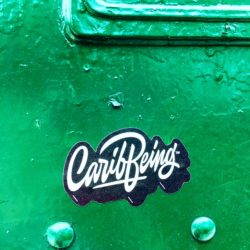 CariBEING sticker on a utility box, Brooklyn